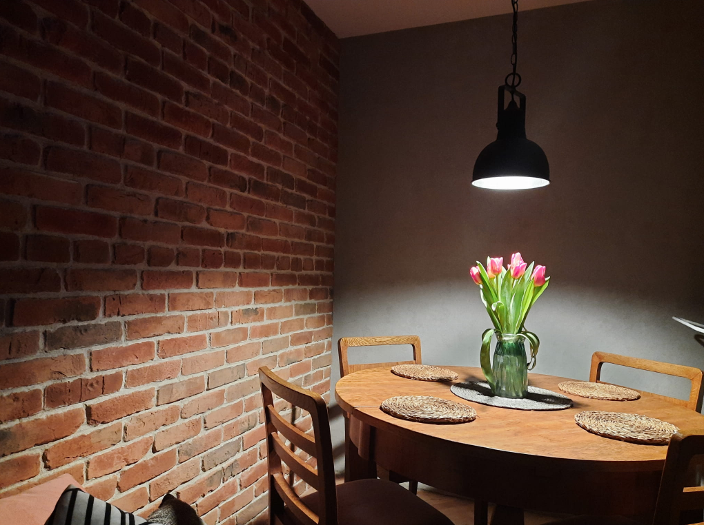 Ajalooliste hoonete telliskiviplaadid seinale