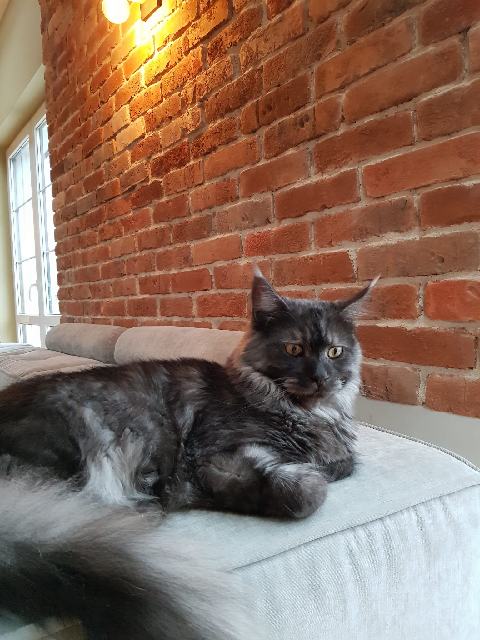 Ajalooliste hoonete telliskiviplaadid seinale