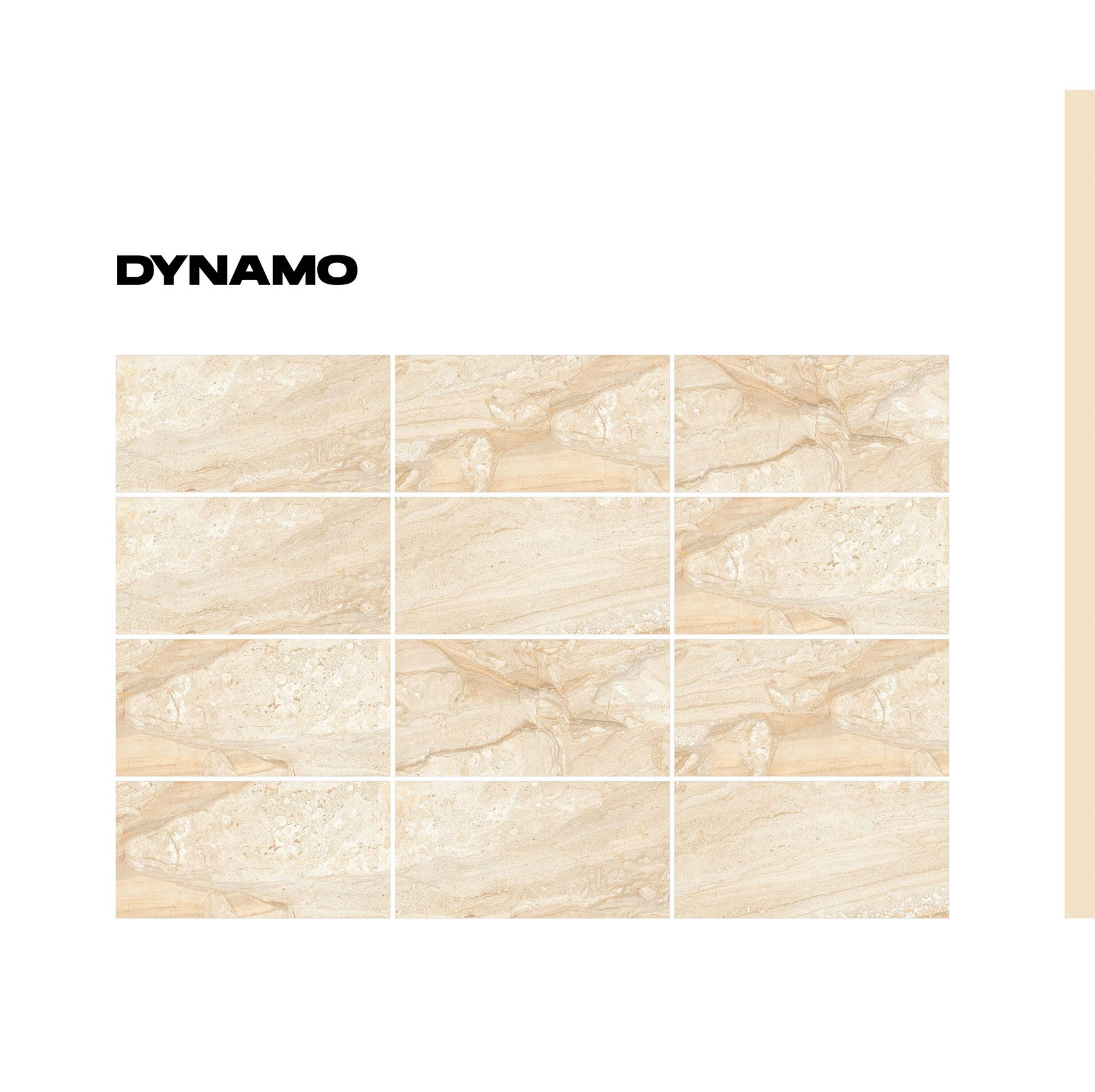 Dynamo läikiv või matt keraamiline plaat