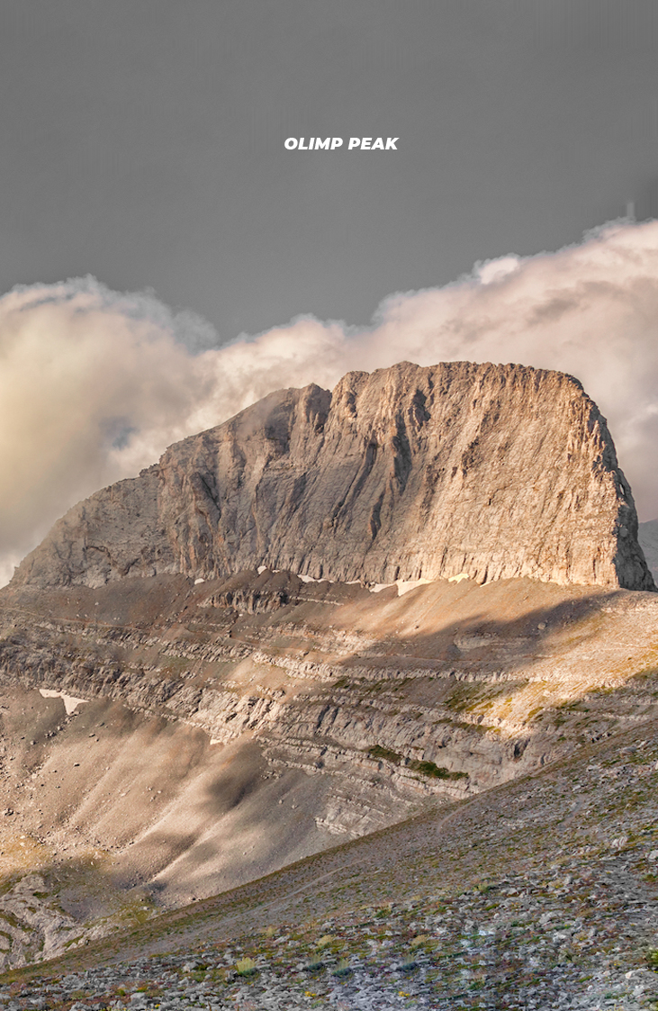 OLIMP tamm puitparkett erinevad suurused (3)