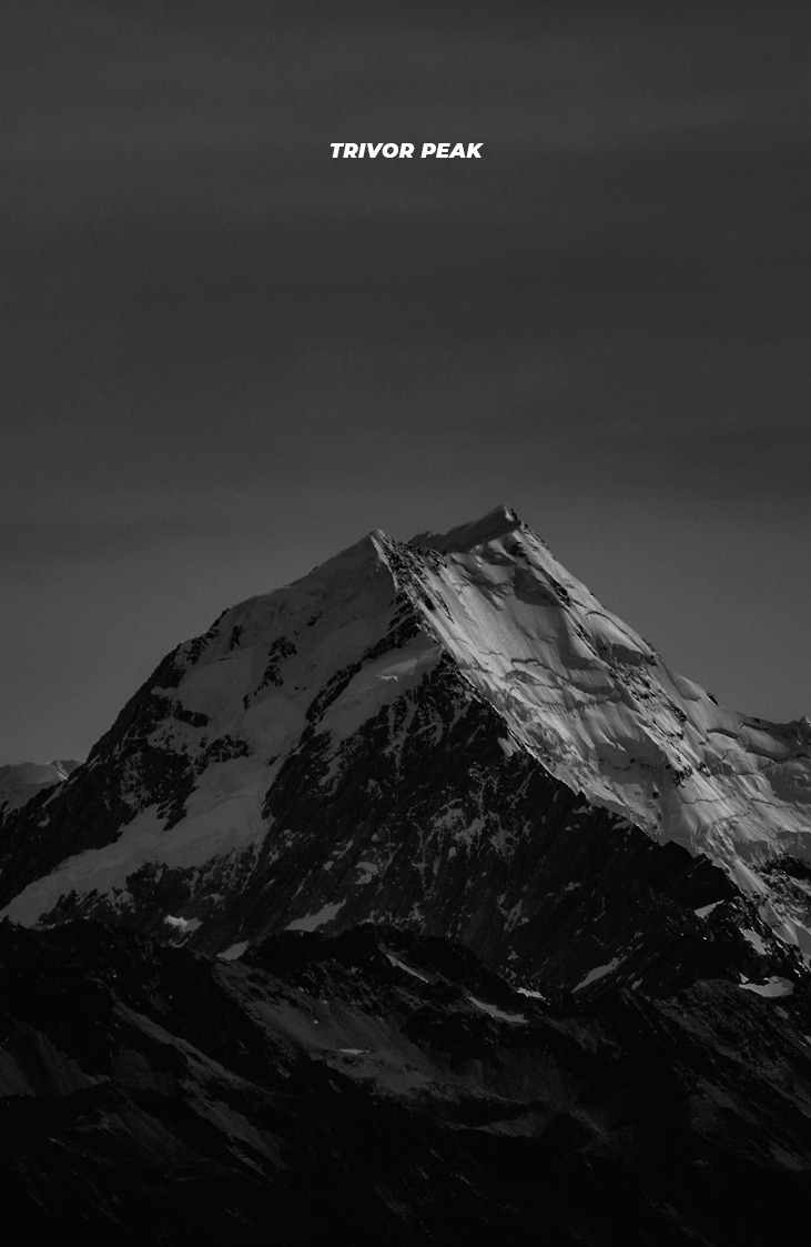 TRIVOR tamm puitparkett erinevad suurused (3)