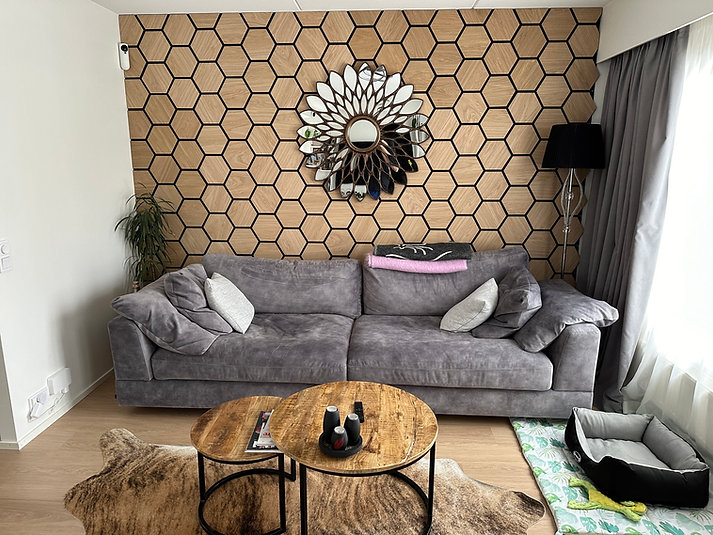 Naturaalne tamm hexagon kuusnurk akustiline seinapaneel 620x760mm