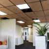 Naturaalne tamm puidust ripplae paneel 9x600x1200mm