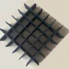 Vildist akustilised ripplae ristid